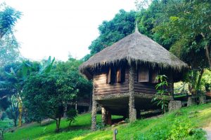 Chai Lai Orchid Elephant Weddings