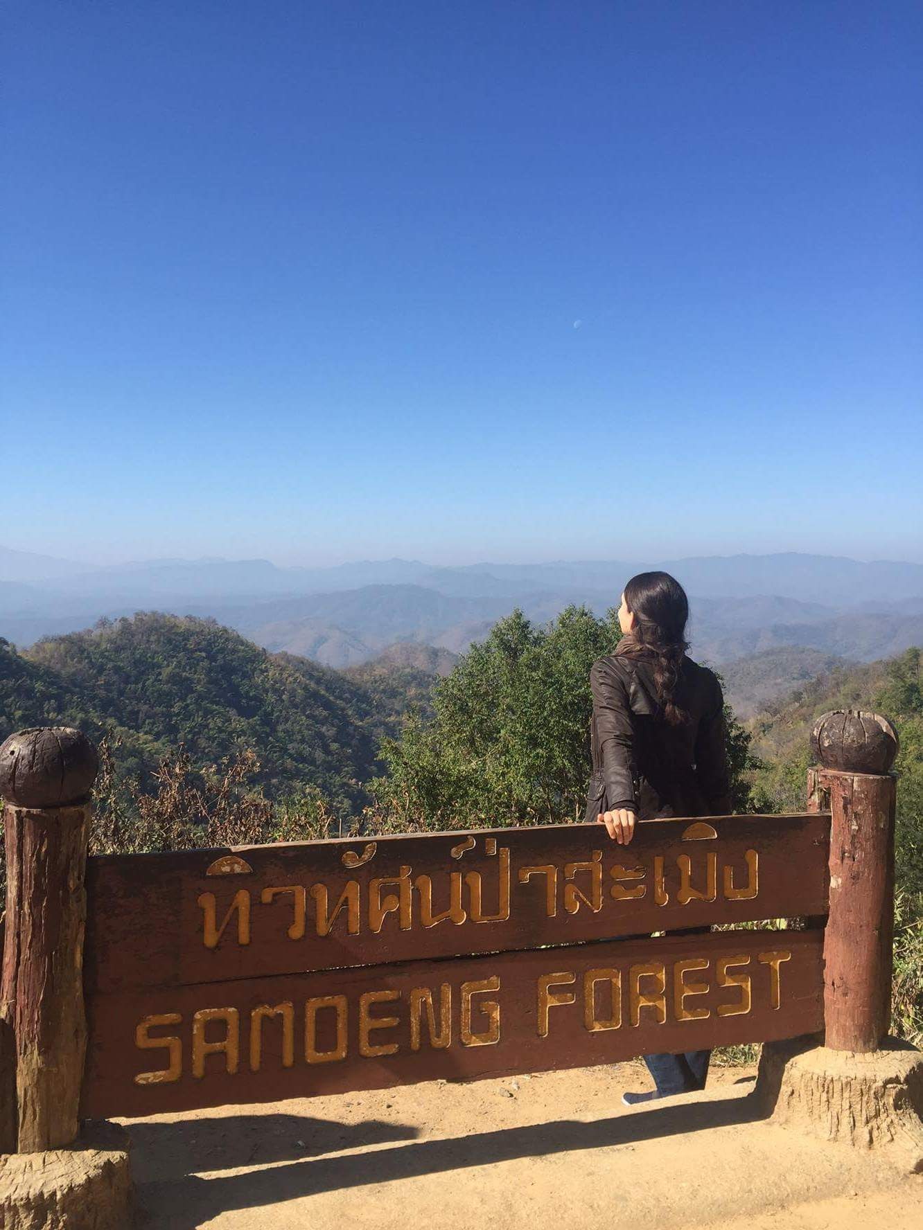 Trees Of Chiang Mai 