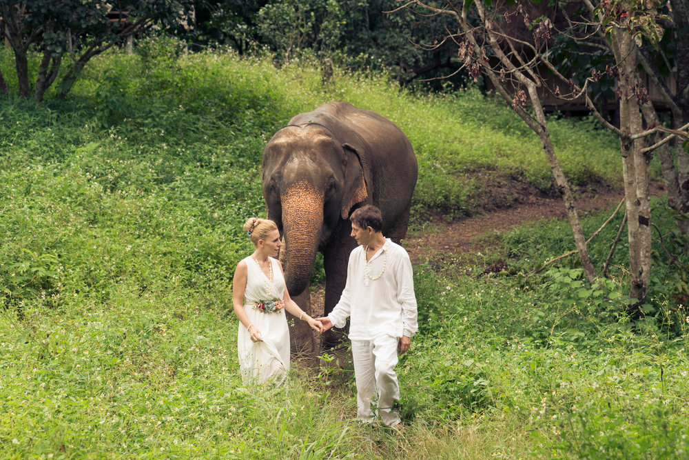 Chai Lai Orchid Elephant Weddings