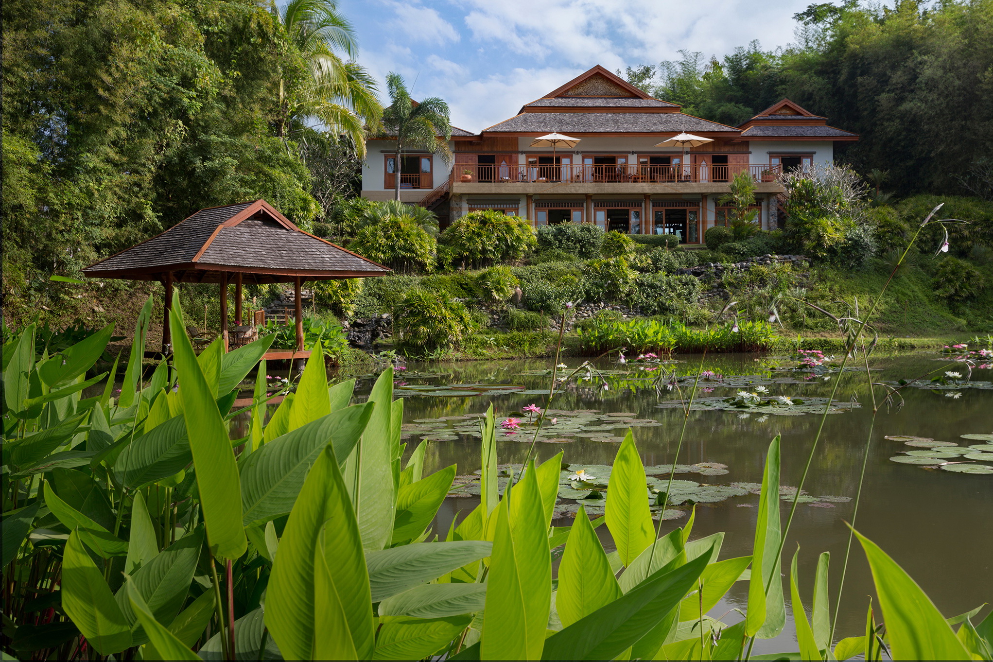 Pa Sak Tong Chiang Rai