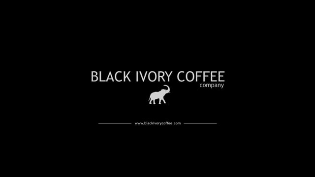 Black Ivory Coffee The World S Most Expensive Coffee Made In Thailand