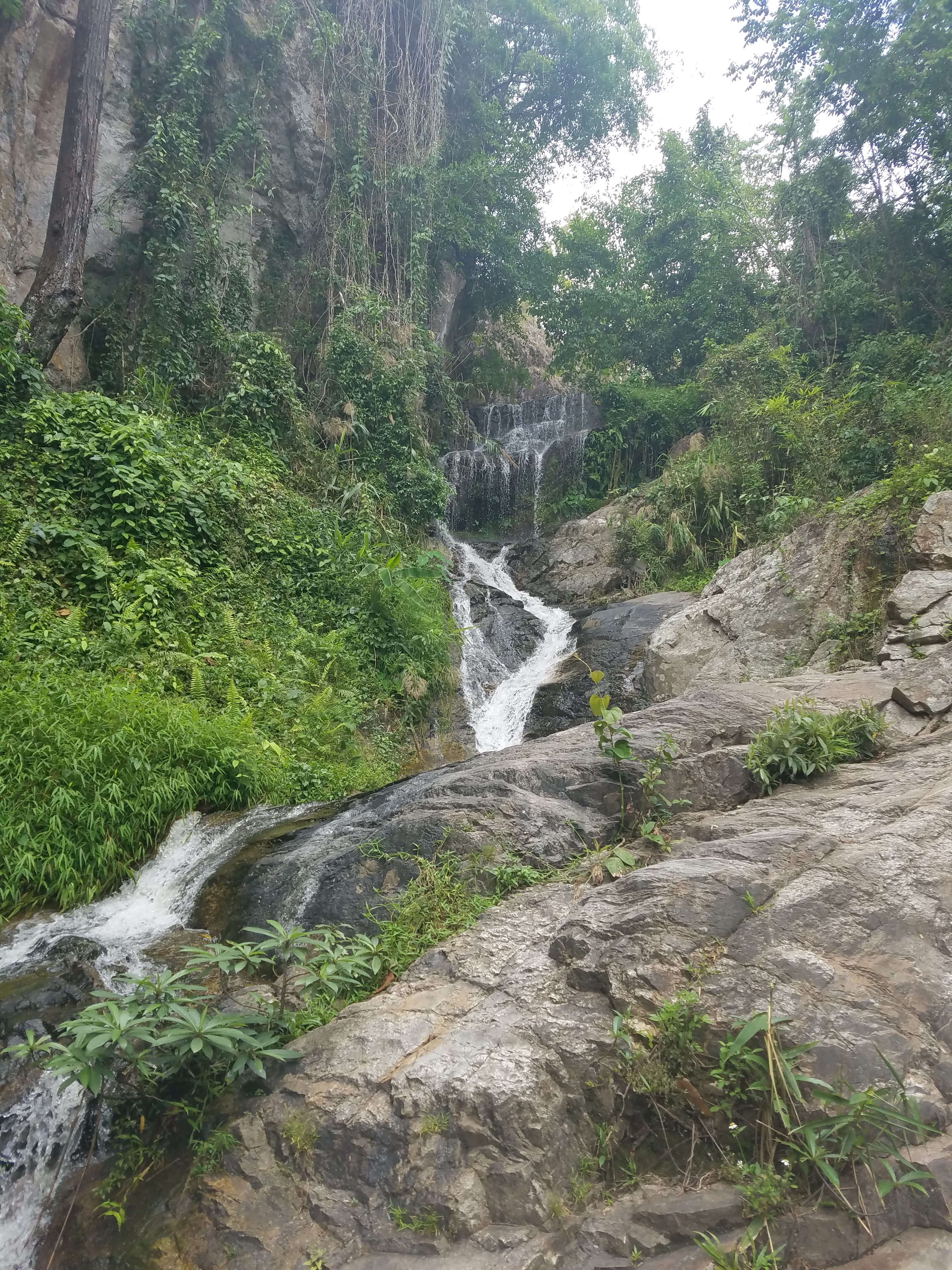 Huay Kaew Waterfall Chiang Mai